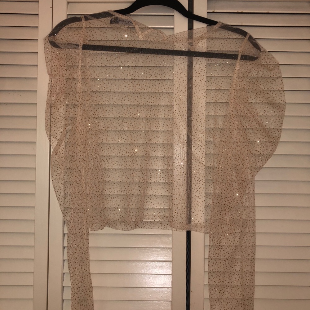 Nasty Gal Sparkle See Through Party Top
